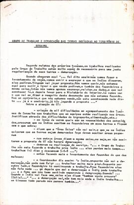 Relato sobre  Grupo de Trabalho (GT) na demarcação de terras indígenas em Roraima