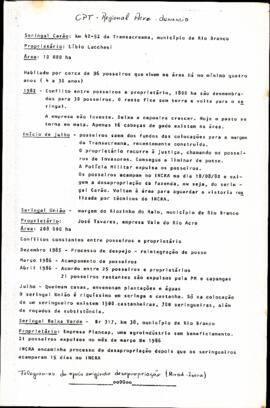 Tensões e Conflitos de Terra no Seringal Carão: Conflitos, Acordos e Expulsões