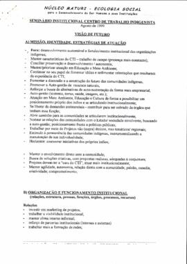 Seminário institucional centro de trabalho indigenista