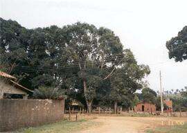 Quintal com árvore grande e casinha de barro