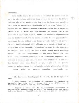 Laudo para Demarcação de Terra