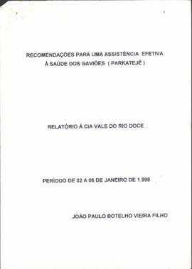 Relatório a Cia Vale do Rio Doce.