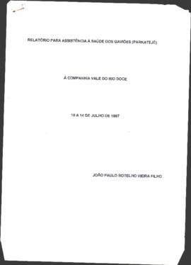 Relatório à Companhia Vale do Rio Doce.