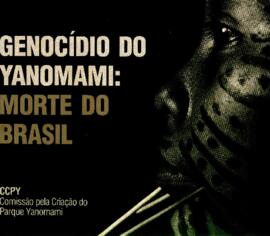 Genocídio do Yanomami: Morte do Brasil