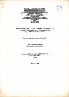 Etnicidade, Cultural e Desenvolvimento perspectivas indígenas e do indigenismo para o Brasil do s...