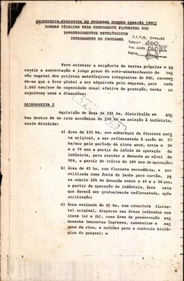 Normas técnicas para componente florestal dos empreendimentos metalúrgicos integrantes do Program...