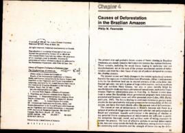 Causes of Deforestation in the Brazilian Amazon